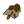 IconTree02Seeds.png